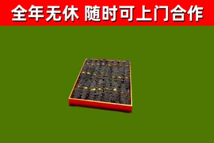 卧龙回收海参